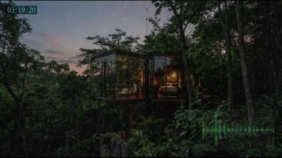 Deep Sleep Rain Loop and Gentle Storm Ambience