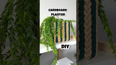 Mannu ne ki Mere Plants ki insult diy planter macrame craft