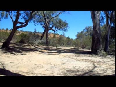 Murtho Forest Landing Murtho South Australia