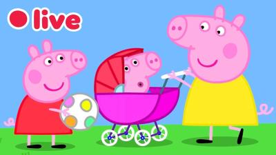  Peppa Pig EN DIRECT Épisodes Complets Dessins Animés pour Enfants  Peppa Pig Français