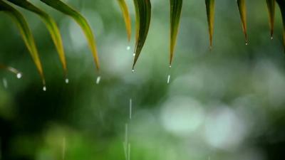  Relaxing Rain Sounds and Soft Piano Music for Deep Sleep Stress Relief and Peaceful Nights