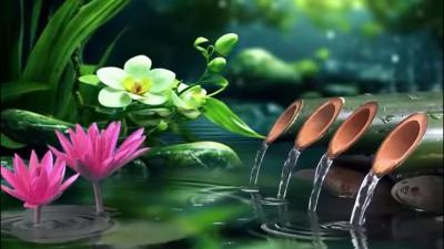 Relaxing Spa Music Meditation Music Nature Sounds Relaxing Piano Music  Water Sounds Calm Music