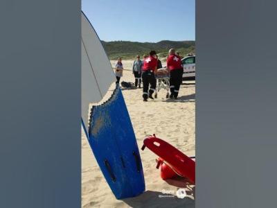 Shark Attack 2 Teaser Trailer