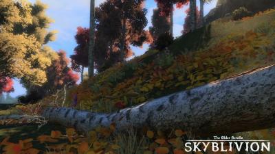 Skyblivion Ambience  25 Minutes in the Fall Forest