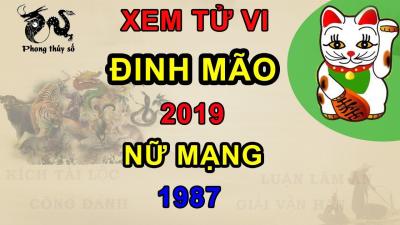 Tử vi tuổi Đinh Mão năm 2019 nữ mạng 1987  Giải VẬN HẠN  Kích TÀI LỘC  ĂN NÊN LÀM RA
