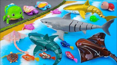 Toy asmr RC Shark  Crocodile RC Ray Mosasaurus Turtle  Aquarium ASMR Satisfying with Unboxing