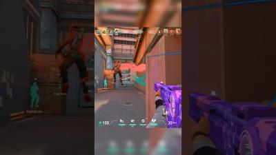 Best Trigger Discipline ACE..
