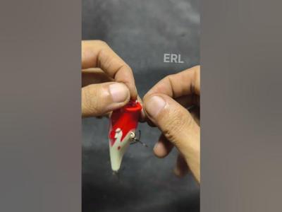 How to tie Minnows quickly and strongly fishing tutorial gtknot fishingtips fish fishinglife
