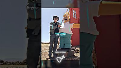 Is This Simpsons Theory Correct  MythBusters