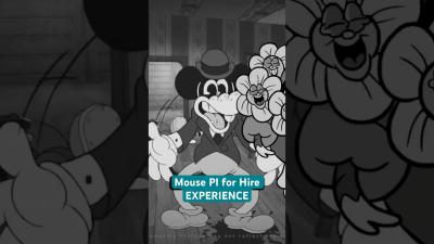 Mouse PI for Hire EXPERIENCE