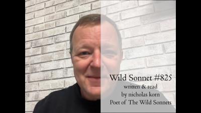 Poetry Reading  Wild Sonnet No. 825