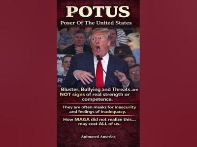 POTUS Or Poser When Bluster Replaces Strength and Competence. Trump MAGA Leadership Politics