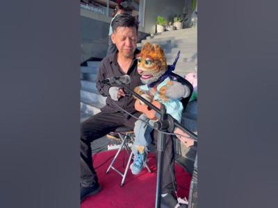 puppetshow thailandpuppetshow puppethand แมวสมระจะใครเลา Orange cat