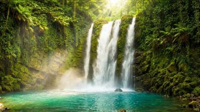 Pure Relaxation Waterfall White Noise in Green Forest for Better Sleep 