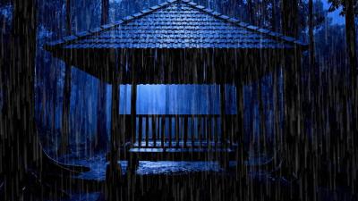 Rain Sounds for Sleeping  Dark Forest Cabin Storm Ambience 11 Hours
