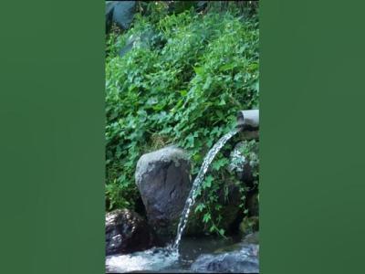 Relaxing River Sounds  Peaceful Forest River  HD 1080p  Nature Video