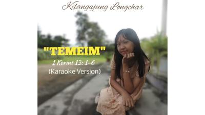 TEMEIMKaraoke Version