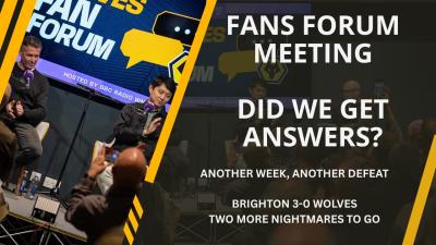 The Future of Wolves Fans Forum Questions and Answers  Wolves Collapse To Seagulls