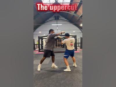 Uppercut science boxing training short fitness workout boxing sport motivation usashort