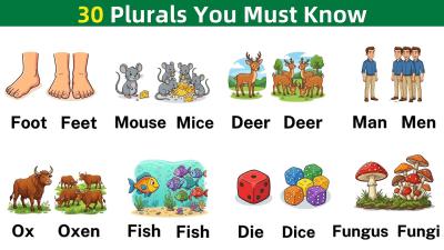 30 Common Irregular Plural Nouns in English  Everyday English Vocabulary Words