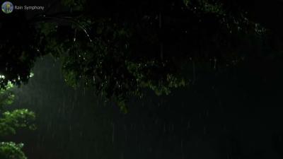 Heavy Rain and Thunder Sounds Through the Night  Deep Sleep Storm Ambience for Calm Mind