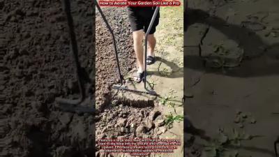 How to Aerate Your Garden Soil Like a Pro