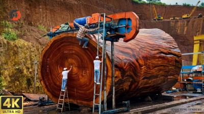 Inside the Massive Wood Workshop From Giant Trees to JawDropping Luxury Dining Tables