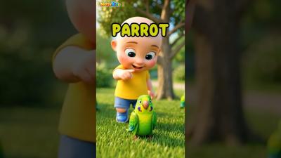 Learn Birds Names in English  Birds Names and Sounds kidseducation