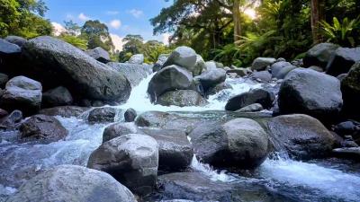  Peaceful Piano River Sounds Sleep Music Relaxation Stress Relief Quiet River Dreams relax