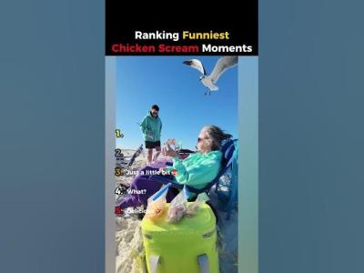 Ranking Funniest Chicken Screaming  Part15 ranking funny moments memes