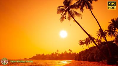 Saturday morning relaxing music for waking up Happy 528hz 4K HDR