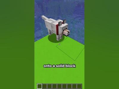 Wolf teleport secret use